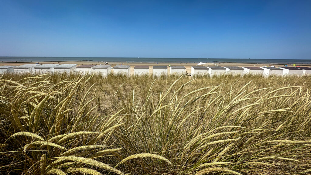 Digue de mer végétalisée à Middelkerke-Westende - cabanes de plage blanches - soleil mer plage