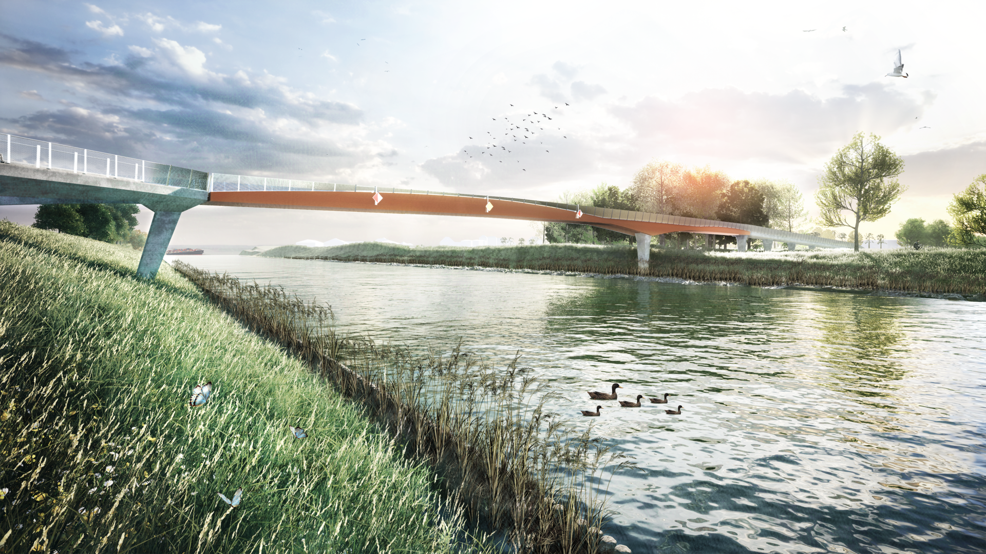 vooraanzicht - eenden - vogels - water - visual - fiets- en voetgangersbrug Zulte
